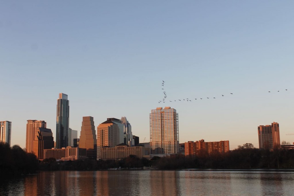 Austin Skyline