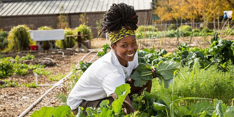 Black Lives Veggies