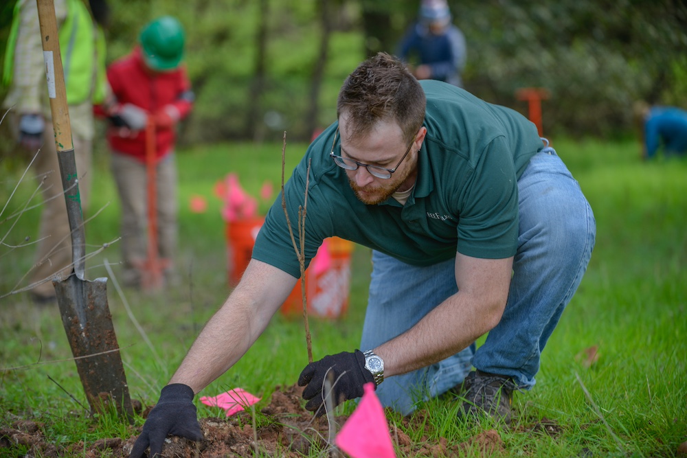 Tree Planting