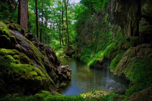 Westcave Grotto