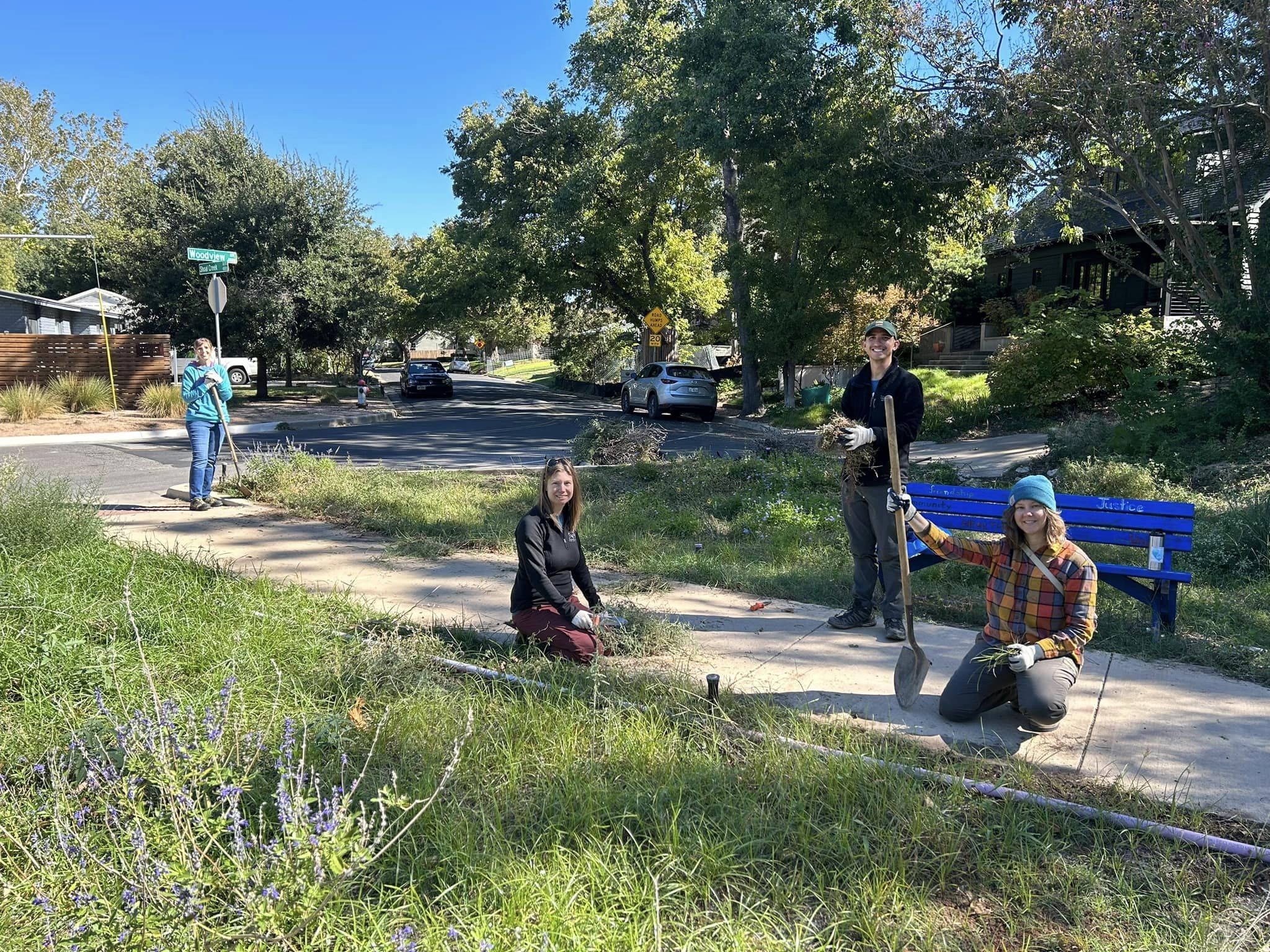 Woodview Rain Garden