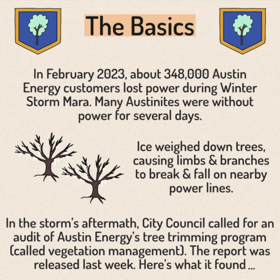 Vegetation Management - 2