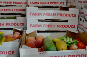 Farm Fresh Produce