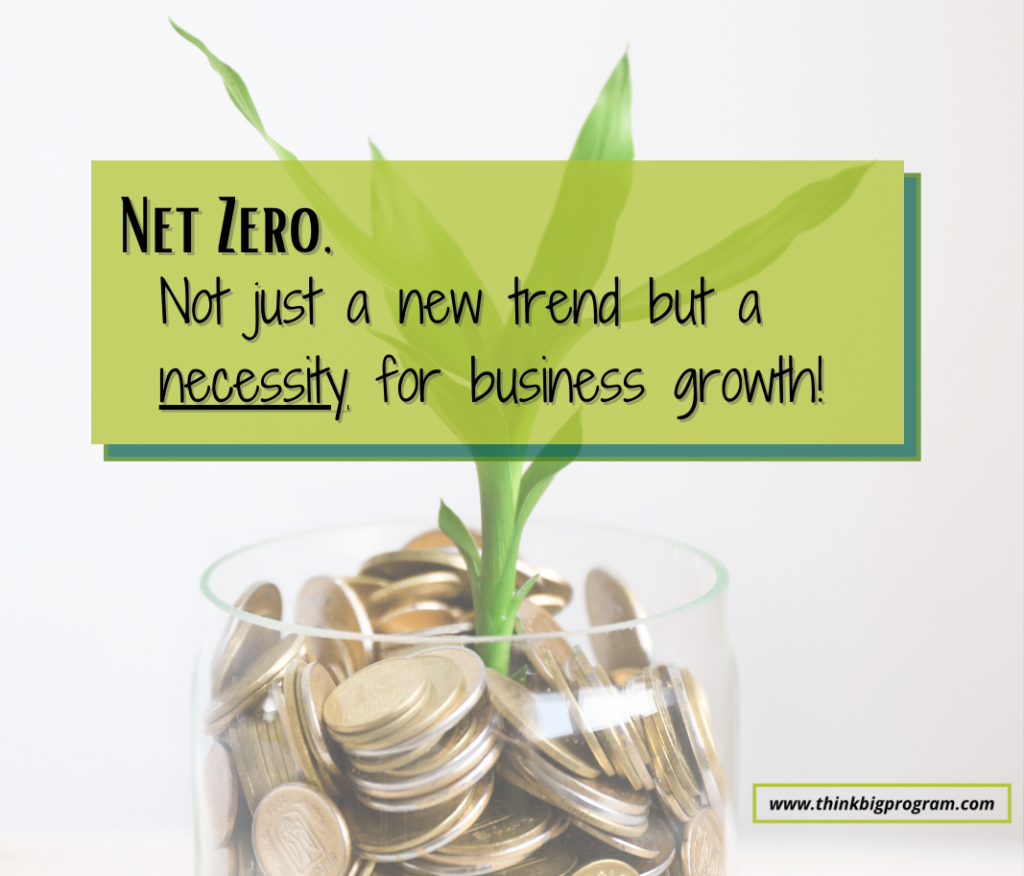 net zero business