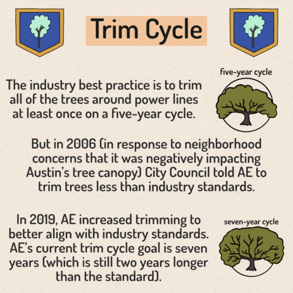 Vegetation Management - 3